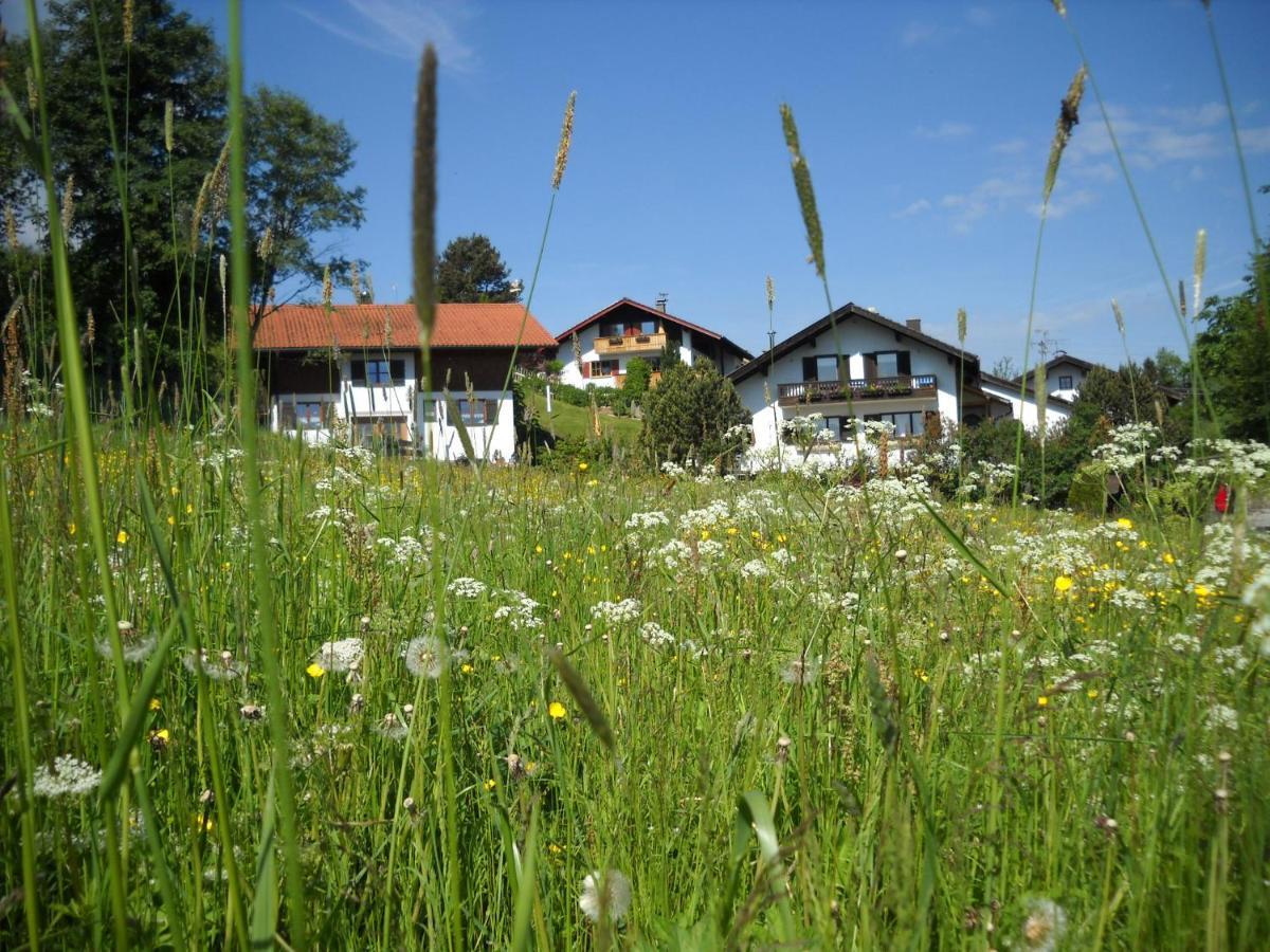 Im- Oberland - Berg - Koenigscard Lägenhet Bad Kohlgrub Exteriör bild