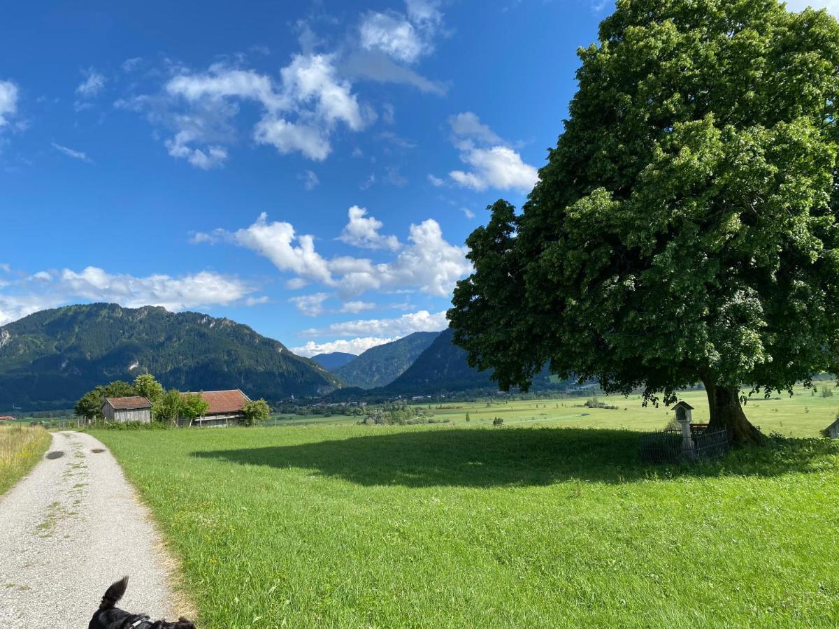 Im- Oberland - Berg - Koenigscard Lägenhet Bad Kohlgrub Exteriör bild