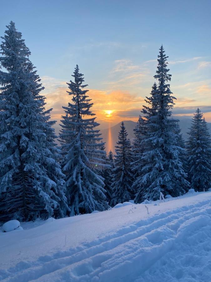 Im- Oberland - Berg - Koenigscard Lägenhet Bad Kohlgrub Exteriör bild