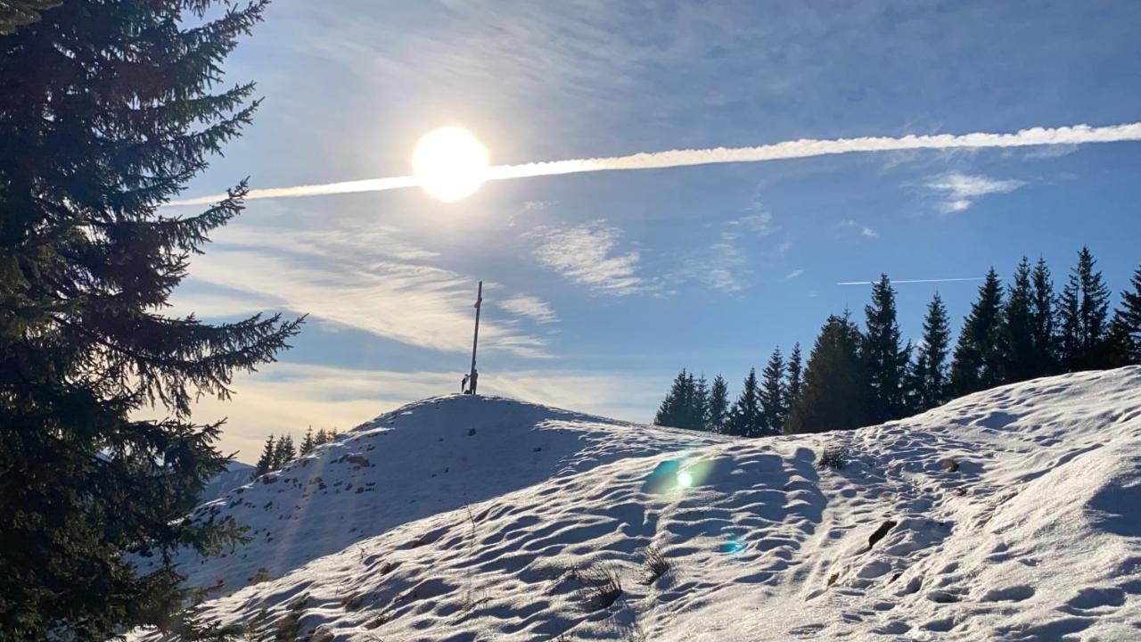 Im- Oberland - Berg - Koenigscard Lägenhet Bad Kohlgrub Exteriör bild