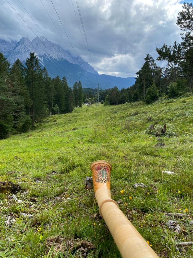 Im- Oberland - Berg - Koenigscard Lägenhet Bad Kohlgrub Exteriör bild