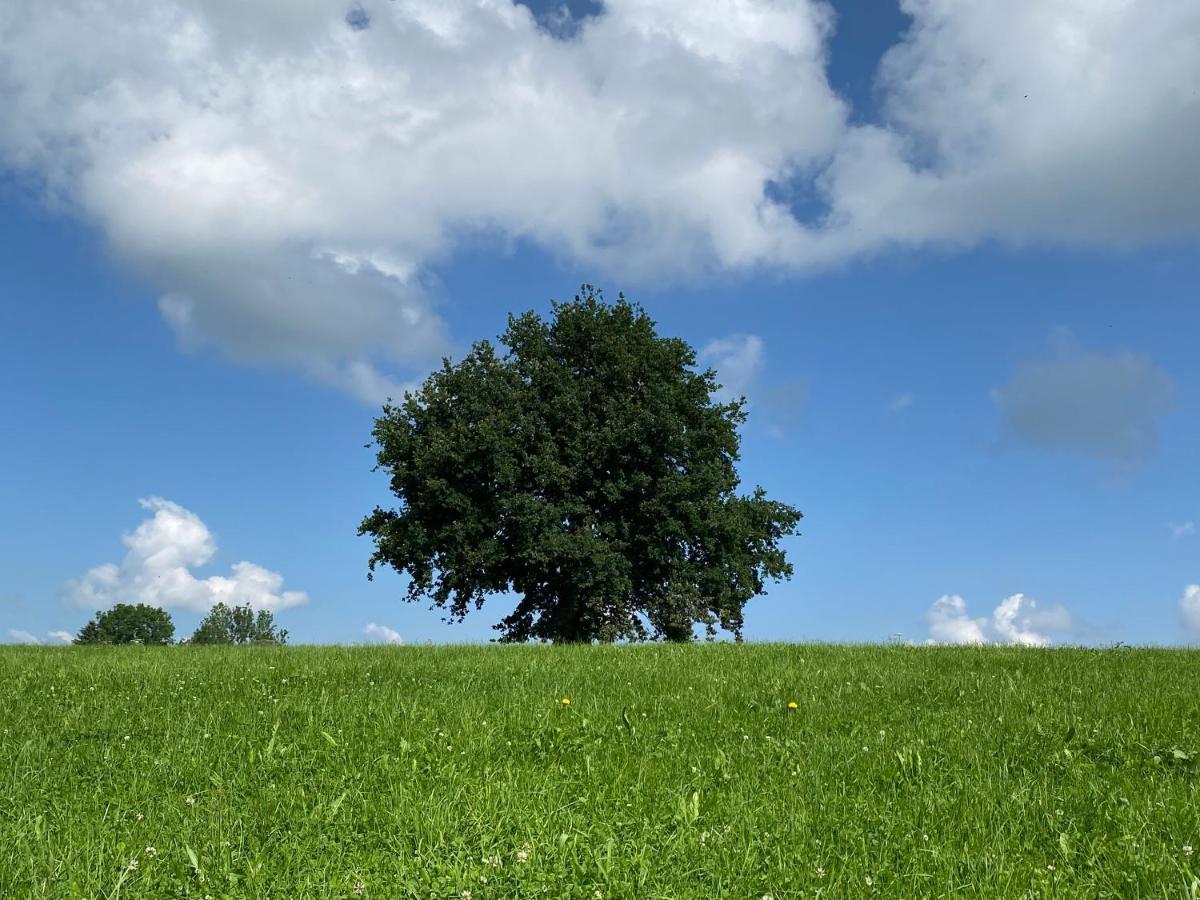 Im- Oberland - Berg - Koenigscard Lägenhet Bad Kohlgrub Exteriör bild
