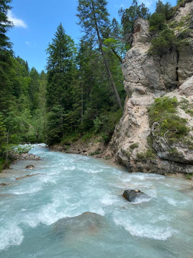 Im- Oberland - Berg - Koenigscard Lägenhet Bad Kohlgrub Exteriör bild