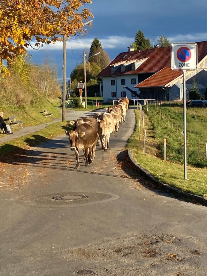 Im- Oberland - Berg - Koenigscard Lägenhet Bad Kohlgrub Exteriör bild