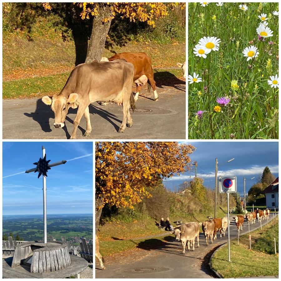 Im- Oberland - Berg - Koenigscard Lägenhet Bad Kohlgrub Exteriör bild